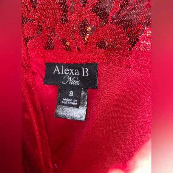 Alexa B Nites Womens Lace Cocktail Dress Size 8 Red Floral Ruffle Sequin-EUC - Picture 3 of 3